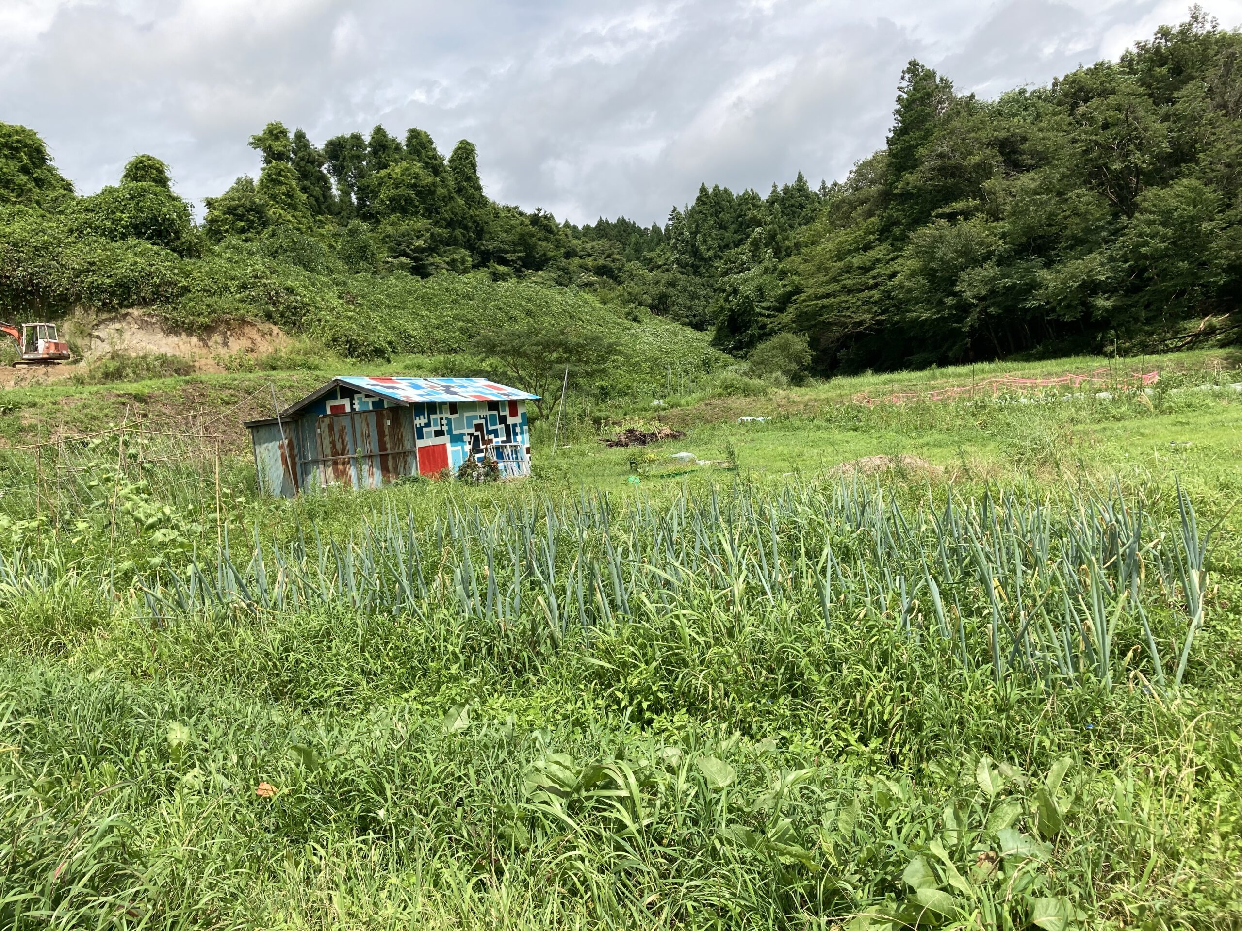 加藤鉄平の個展