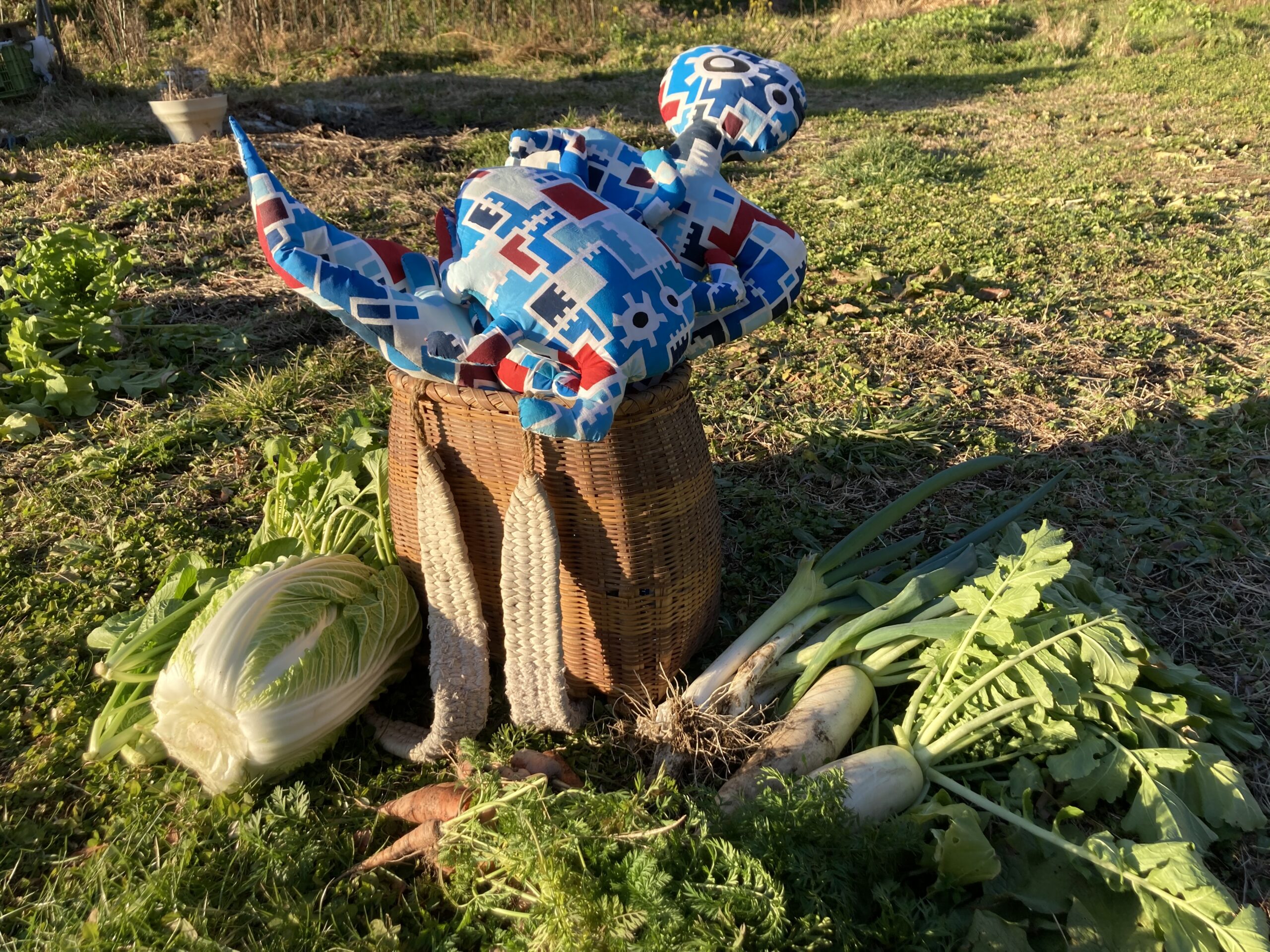 加藤鉄平の個展