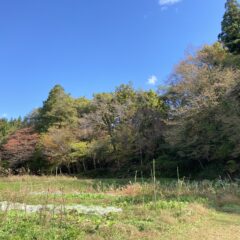 自己紹介～今に至るまで～